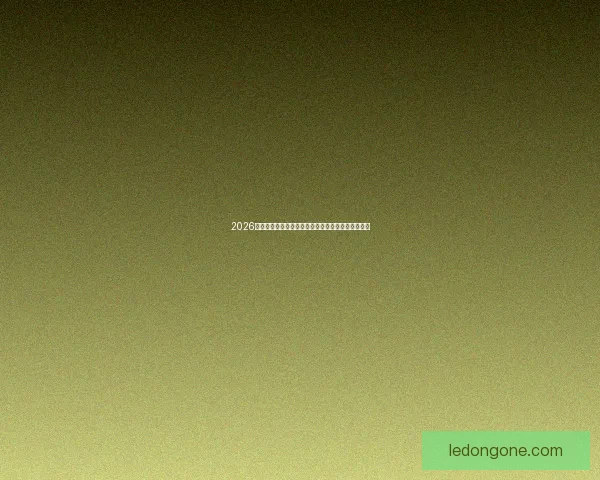 2026世界杯最佳球员闪耀赛场引领球队创造历史辉煌表现